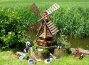 Henny Schäfer-einfinger