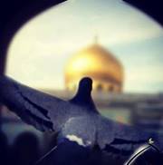 Abbas Sharafeddeen