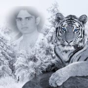 Raghvendra Singh