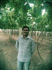 Umesh Surya