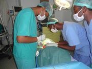 Cabdicasiis Maclim yuusuf