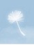 skysongx