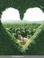 Arabeia...