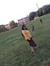 Ramya P...