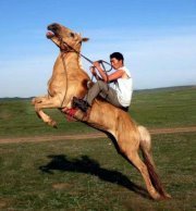 Erdenebold Uuganbaatar