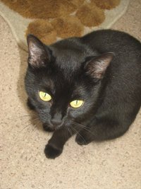 Александр Ульмаскулов