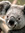 Jonathan Rodriguez | 11 comments