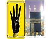 احمد عبد المعبود أحمد