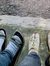 Aulia R...
