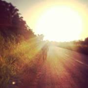 Junseljunaid Shepjunet