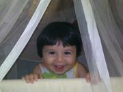 Omar Halawi