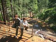 Дејан Османовић