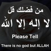 محمد الخولي