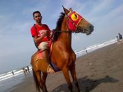Irfan Sar