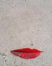 หมีพูห์ เอง