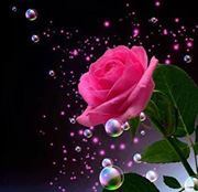 حنين اللاذقية