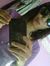 Rietha ...