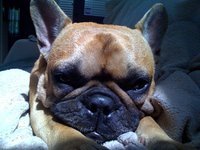 Kathee Speranza-ryan