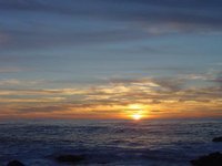 Donna Rainville