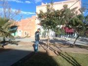 MØĥcïné Mĥẵrzï