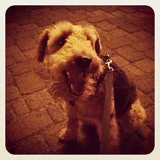 Jackie Kearney eichhorn