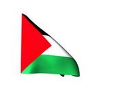 فتحي ابو مويس