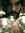 Christian Q (christianq) | 14 comments