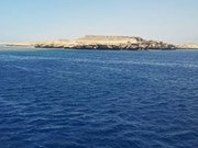 Mohamed Mowafy