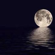 ناصر الشهري