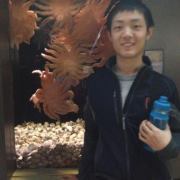 Mike Yao