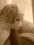 Donatel...