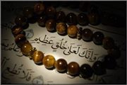 وليد محمد