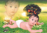 أحمد عبد الحكيم