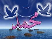 وائل عبد الرحمن