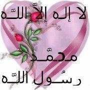 د.علياء المشهداني