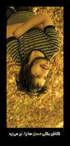 عباس صفارایی