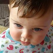 محمد القاسم