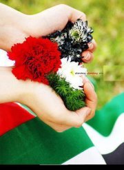 Mohammad Jazzar
