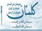 المغاورى فتحى