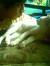 Gilang ...