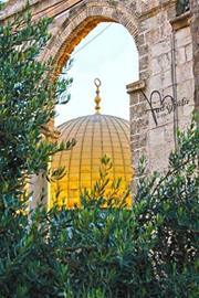 المؤمنة بالله