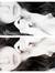 Laura R...