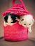 Farzana Fathima