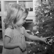 Stephanie Falk goggin