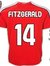 Fitzger...