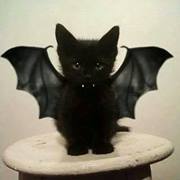 Katarzyna Falukiewicz