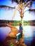 Suresh Ks