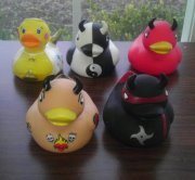 Ducky