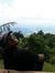 Wan Faizal
