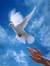 Eman Badr